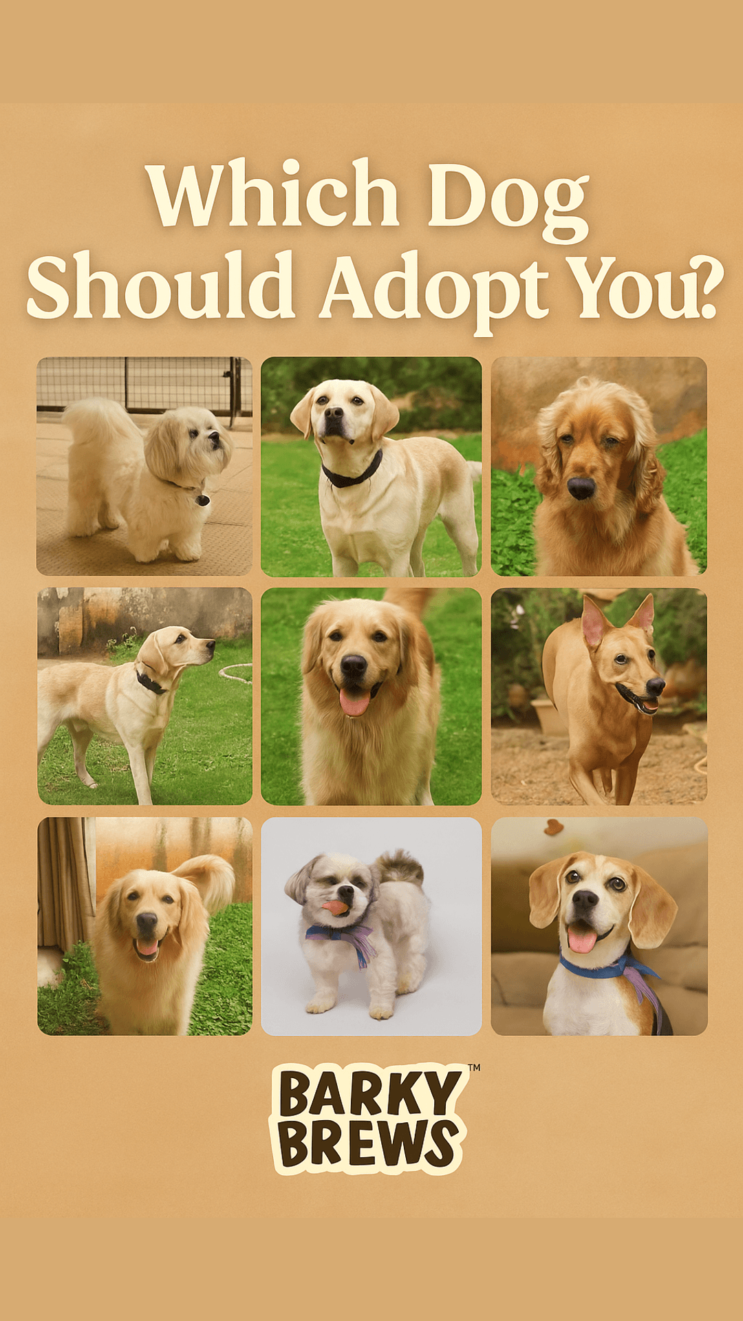 Find Your Perfect Dog Match: What Type of Adopter Are You?